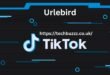 Urlebird